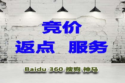 SEM竞价代运营：案例展示广告投放优化技巧